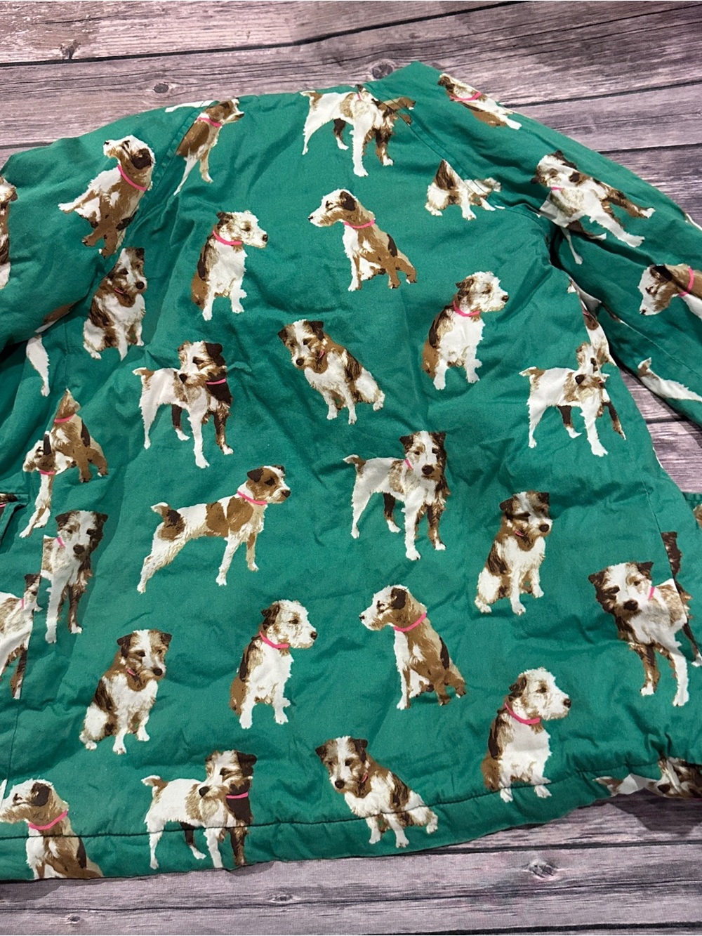 Mini Boden green dog coat - Picture 11 of 13